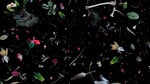 10.soup_ruinous_remembrance