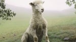 Untitled_137_2006_lamb