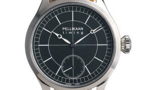 Pellikaan