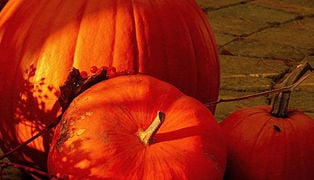 Helloween_l