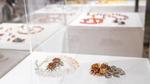 Ev_2013-10-22_1_0053
