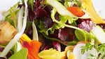 Salade_des_dames_-1815_1