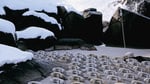 001_runeguneriussen_connections_05