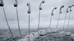 008_runeguneriussen_connections_03