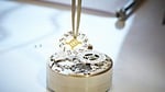 Pa-savoirfaire-05-hd