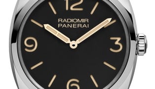 Pam622_cat_front_b_757070