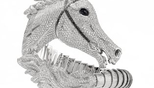 Arabian_horse_limited