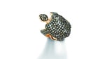 Turtle_collection