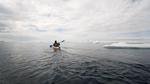 Anne-quemere-anne-quemere-va-tenter-le-passage-du-nord-ouest-en-kayak_original_with_copyright_ccb75