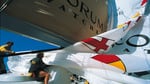 3admiral'scup_1