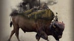 Bison