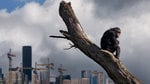 The_isle_of_human_01