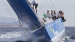 Swan14cb_03052