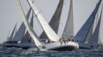 Swan14cb_05406