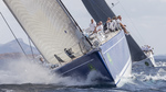 Swan14cb_03089