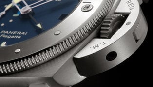 Pam00371-dett-1