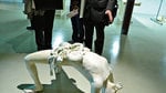 Tass_1036851