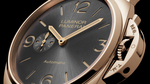 Pam675_cat_dett01_b