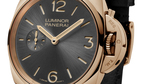 Pam677_cat_3-4_b