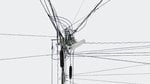 Poles_19