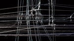 Poles_31
