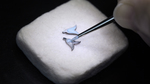 Vcaro8pn00_-_lady_arpels_papillon_automate_-_cf8a3672_©_van_cleef_&_arpels_-_johann_sauty