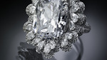 The_garden_of_kalahari_-_ring_2