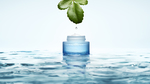 2017_hydra_still_life_water_cream_desalterante_with_kalanchoe_rvb