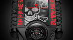 Christopheclaret_xtrem1_fly11.160-168_mushroom_buee_a4_300dpi