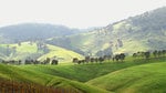 Barossa_006