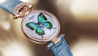 Papillon_jour_a4-office-ld