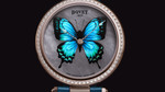 Papillon_nuit_face_a4-2-original-hd