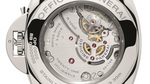 Pam676_cat_fond_b_1319810