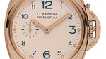 Pam741_cat_front_b_1483744