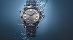 210.32.42.20.06.001_amb
