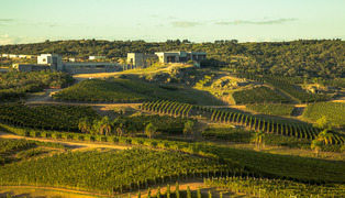 Sfd_uruguay_wines_1_bodega_garzon