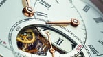 Als_05_rl_tourb_plm_760_032_detail