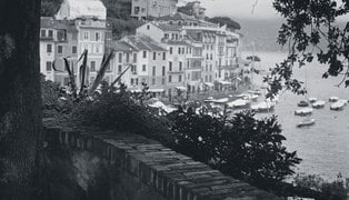 Pf_01