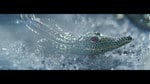 Selection_pressecroco.12ter