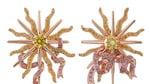 14-van-cleef-&-arpels_mo-roi-soleil_le-bal-du-siecle_hd