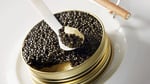 Ef-caviar_de_sologne_02